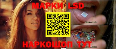 PSILOCYBIN Нальчик