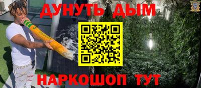 гидра Новодвинск