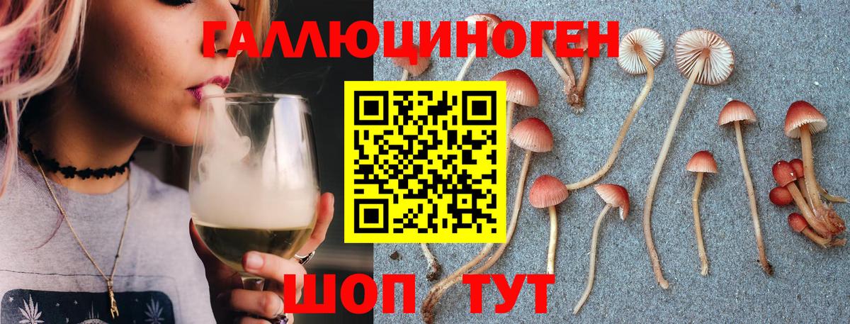 Тара  Псилоцибиновые грибы GOLDEN TEACHER  Вход с VPN 